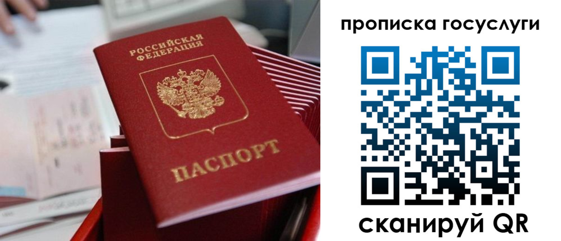 прописка законно в Кольчугино