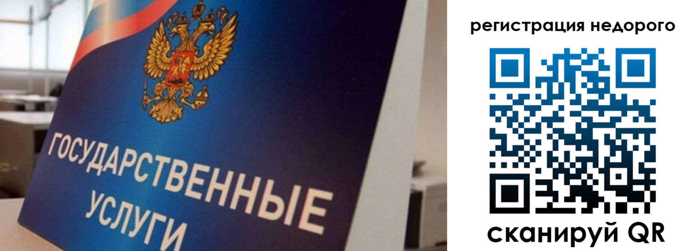 прописка в квартире в Кольчугино